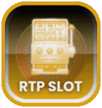 rtp slot IMI689